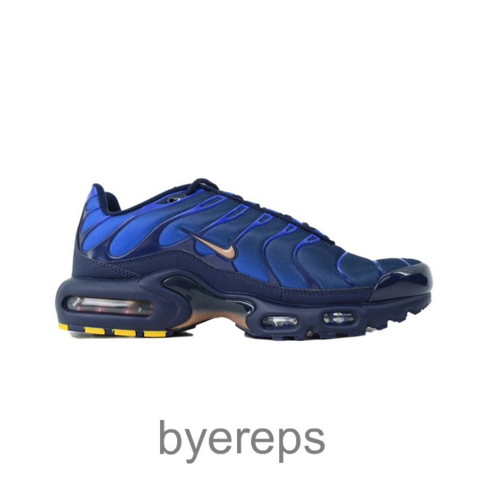 Air Max Plus French Football Federation