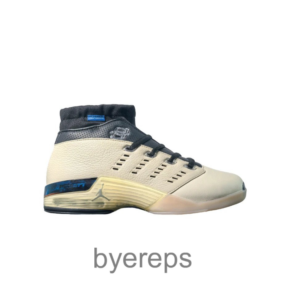 Infinite Archives X Jordan 17 Retro Low Beach