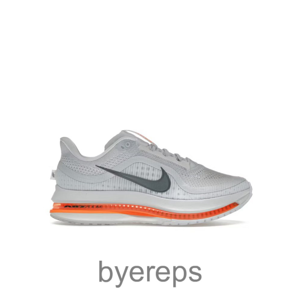 Air Zoom Pegasus Premium Airscape